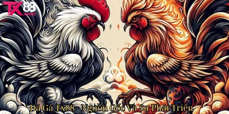 Đá Gà Tx88 - Nguồn Gốc Và Sự Phát Triển Đá Gà Tx88 - Nguồn Gốc Và Sự Phát Triển