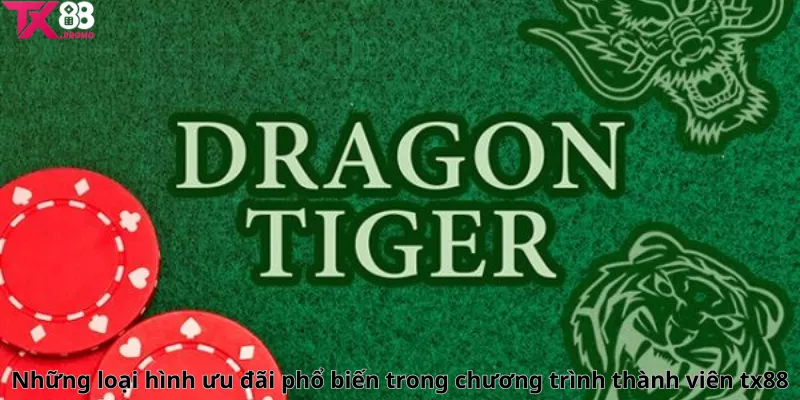 Những Loại Hình Ưu Đãi Phổ Biến Trong Chương Trình Thành Viên Tx88