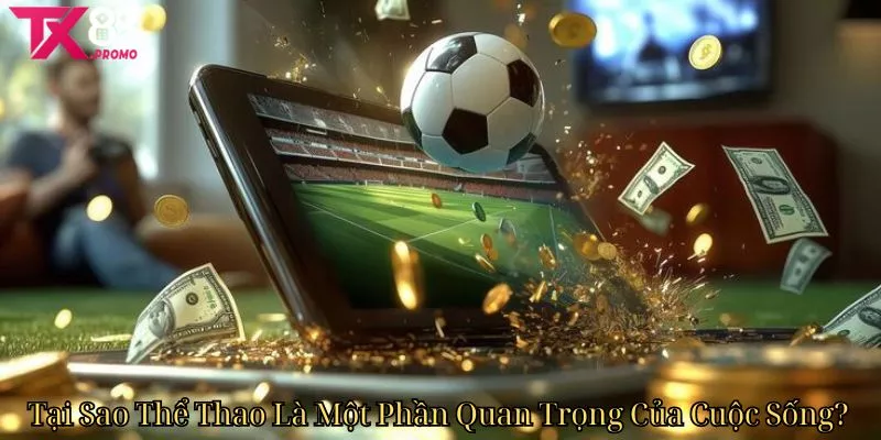 Tại Sao Thể Thao Là Một Phần Quan Trọng Của Cuộc Sống Tại Sao Thể Thao Là Một Phần Quan Trọng Của Cuộc Sống