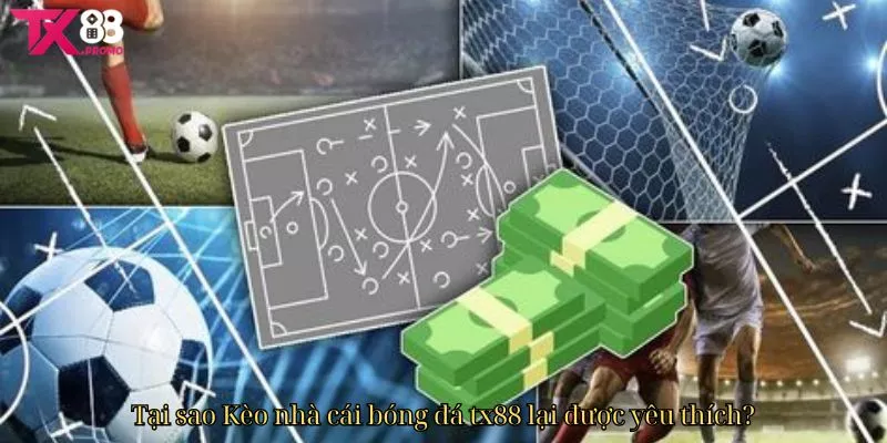 Tại sao Kèo nhà cái bóng đá TX88 lại được yêu thích